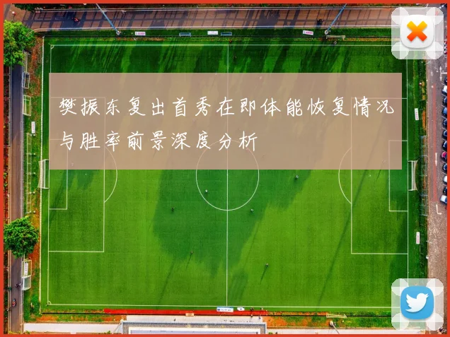 樊振东复出首秀在即体能恢复情况与胜率前景深度分析