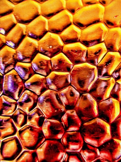 IMG_2206 - Copy-01 - Copy