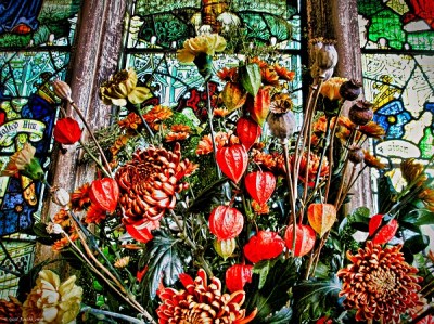 IMG_2509 - Copy-01 - Copy